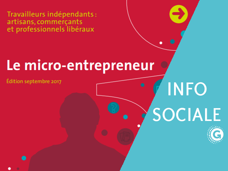 guide rsi 2017 GVGM cabinet comptable