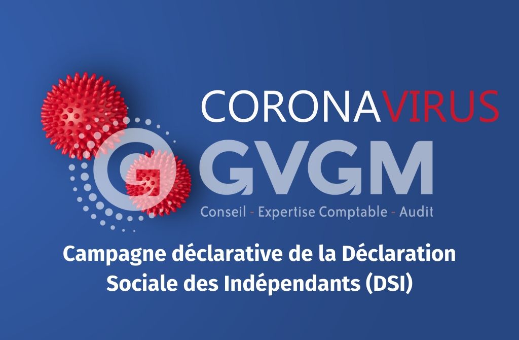 Campagne-déclarative-de-la-Déclaration-Sociale-des-Indépendants-DSI