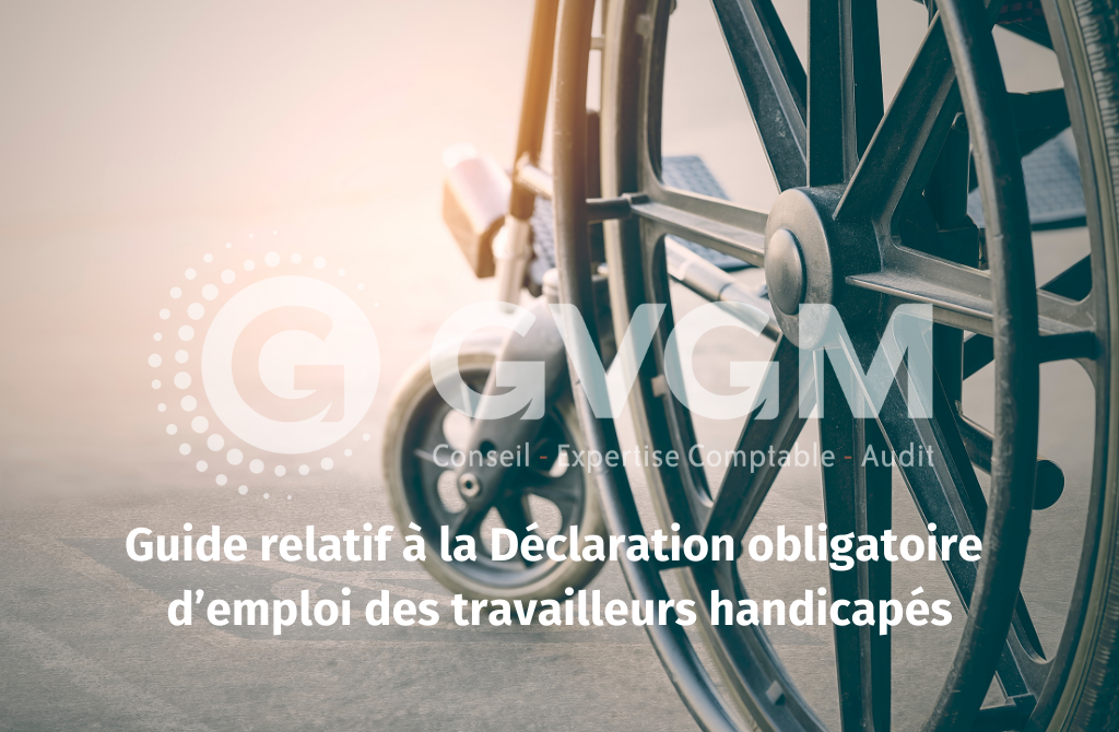 Guide-relatif-a-la-Declaration-obligatoire-demploi-des-travailleurs-handicapes
