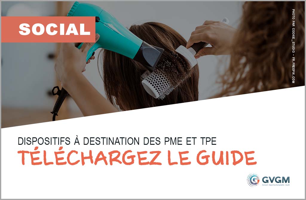 Plan de relance, dispositifs à destination des TPE et PME