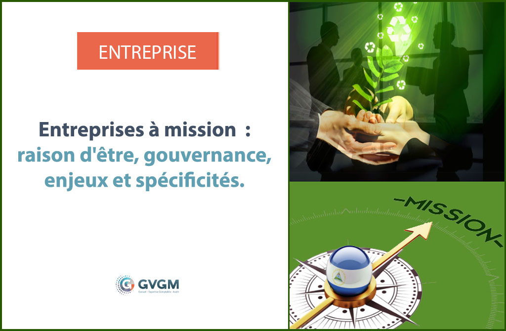 Entreprises à mission : raison d'être, gouvernance, enjeux et spécificités.