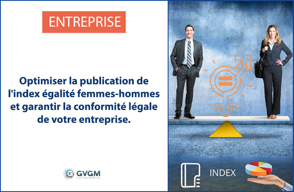 Publication index égalité femmes-hommes modalités et télédéclaration.