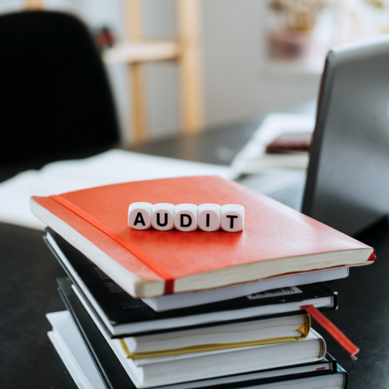 audit.png